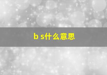 b s什么意思